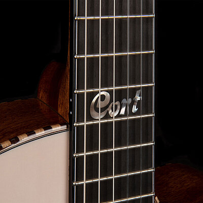 Solencation Griffbrett-Einlage Detail