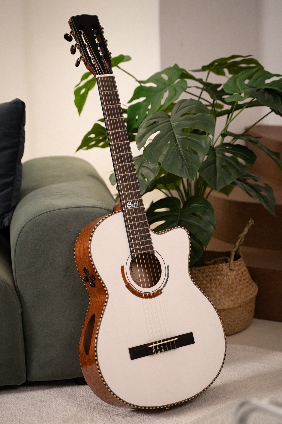 Cort Solencanto Gitarre